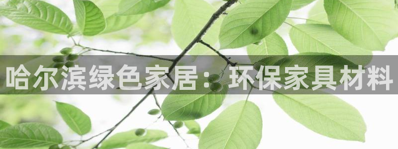 杏耀登陆网站
