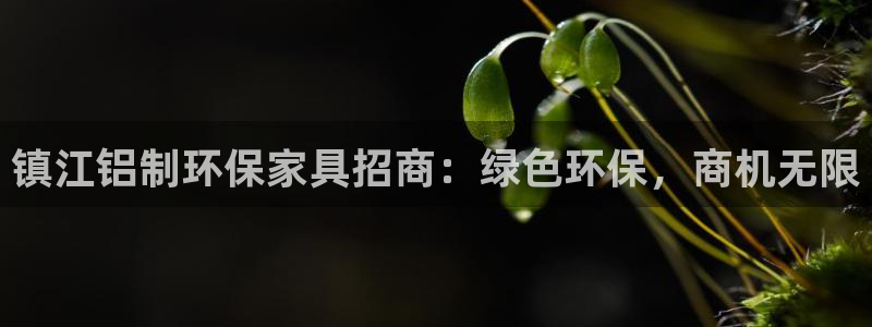 杏耀测速注册
