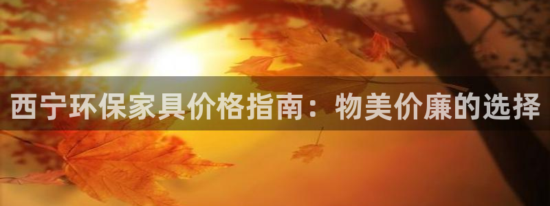 杏耀代理日工资多少