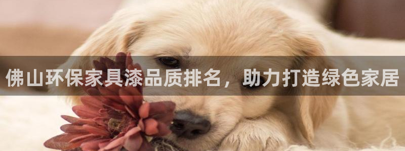杏耀平台指定