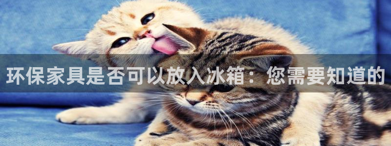 杏耀开户app下载