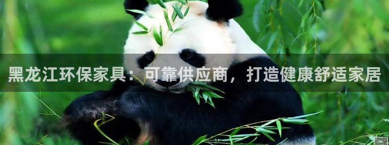 杏耀注册登录代理
