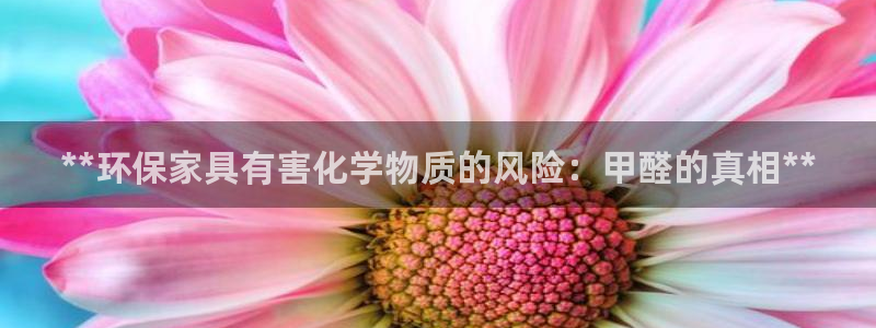 杏耀平台线路测速