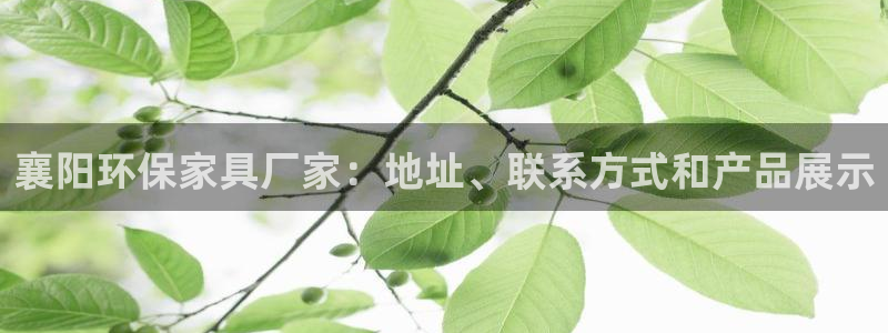 杏耀平台官方网站下载