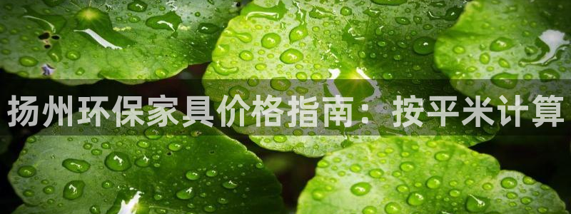 杏耀官网主管