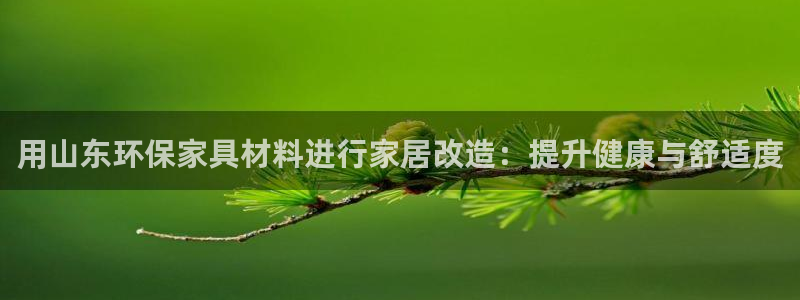 杏耀平台登录首页：用山东环保家具材料进行家居改造：提升健康与