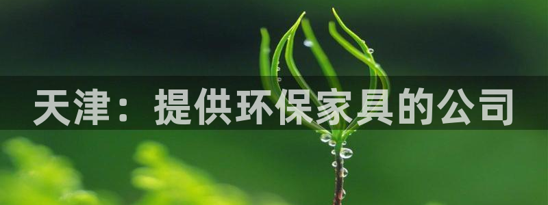 杏耀主管qq