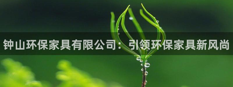 杏耀注册登录测速：钟山环保家具有限公司：引领环保家具新风尚