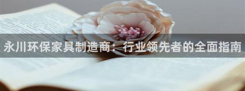 杏耀平台怎么注册：永川环保家具制造商：行业领先者的全面指南
