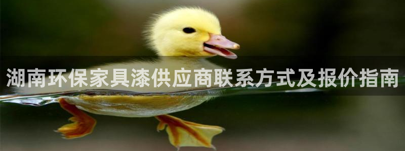 杏耀代理注册开户：湖南环保家具漆供应商联系方式及报价指南