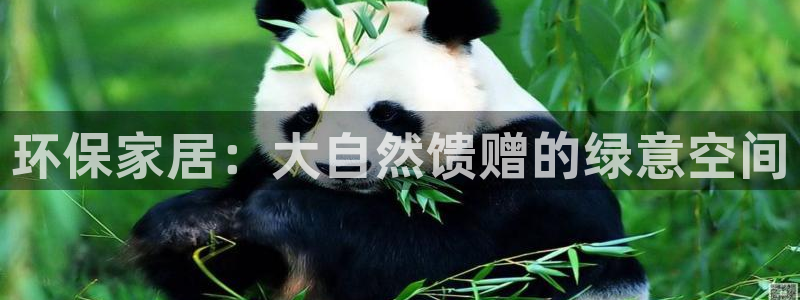 杏耀平台手机下载