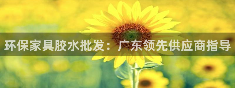 杏耀平台的专用通道：环保家具胶水批发：广东领先供应商指导