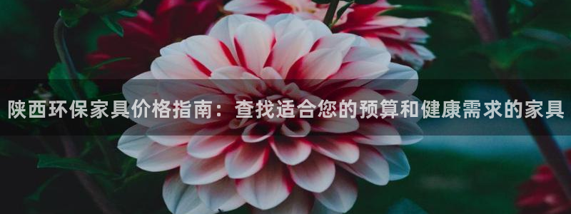 杏耀官方测速：陕西环保家具价格指南：查找适合您的预算和健康需