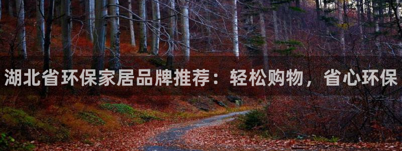 杏耀平台官网下载：湖北省环保家居品牌推荐：轻松购物，省心环保