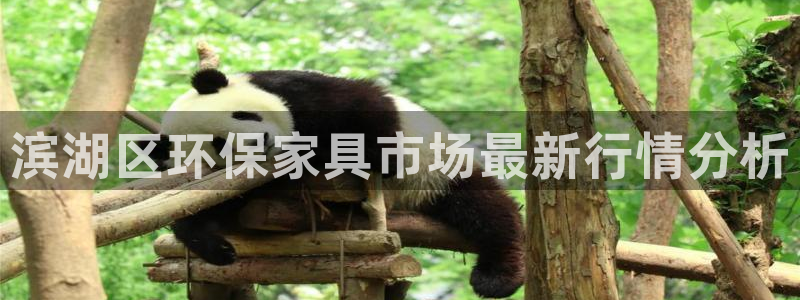 杏耀平台手机app