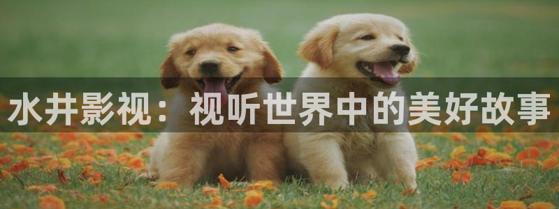 即看影视app下载