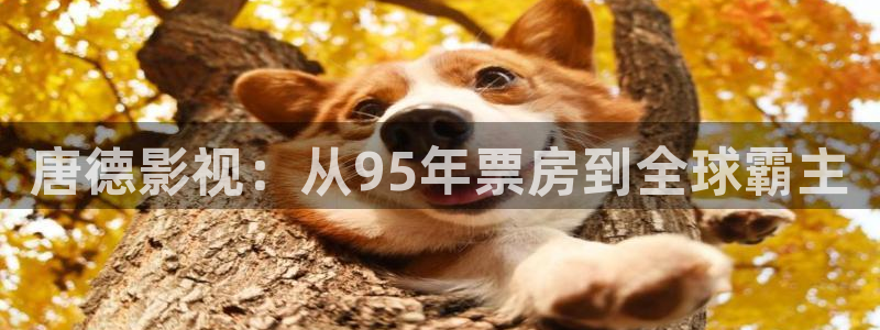 即看影视可以下载吗：唐德影视：从95年票房到全球霸主