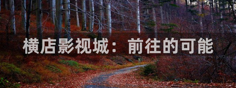 即看影视官网：横店影视城：前往的可能